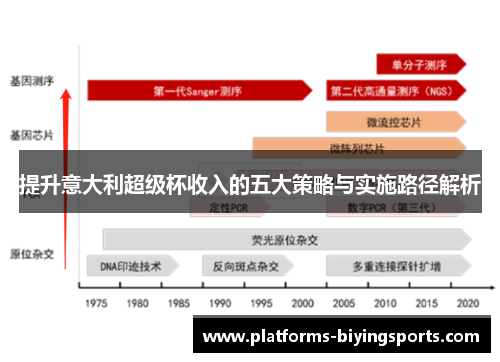 提升意大利超级杯收入的五大策略与实施路径解析
