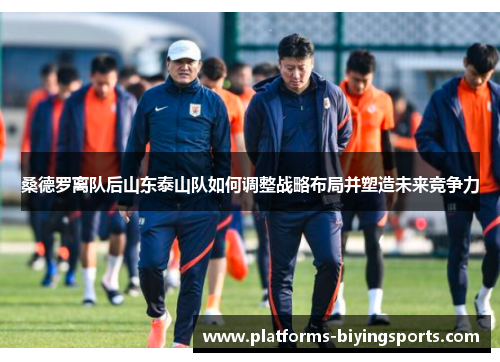 桑德罗离队后山东泰山队如何调整战略布局并塑造未来竞争力