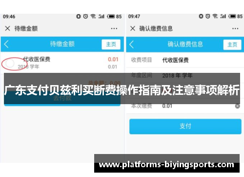 广东支付贝兹利买断费操作指南及注意事项解析