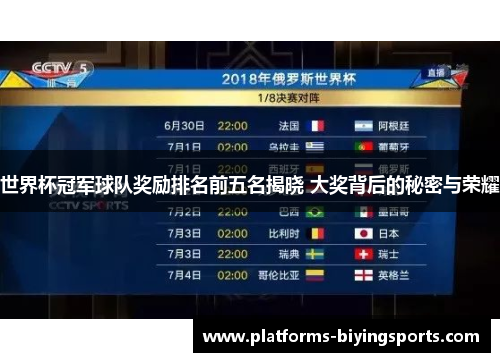 世界杯冠军球队奖励排名前五名揭晓 大奖背后的秘密与荣耀