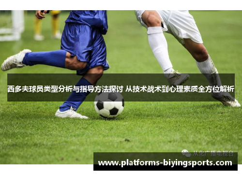 西多夫球员类型分析与指导方法探讨 从技术战术到心理素质全方位解析