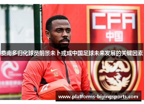 费南多归化球员前景未卜或成中国足球未来发展的关键因素 费南多归化球员前景未卜或成中国足球未来发展的关键因素