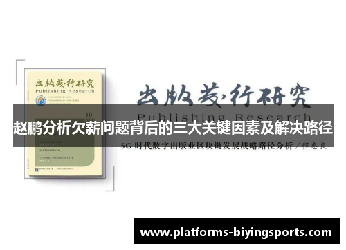 赵鹏分析欠薪问题背后的三大关键因素及解决路径 赵鹏分析欠薪问题背后的三大关键因素及解决路径