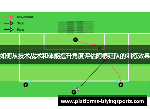 如何从技术战术和体能提升角度评估阿根廷队的训练效果