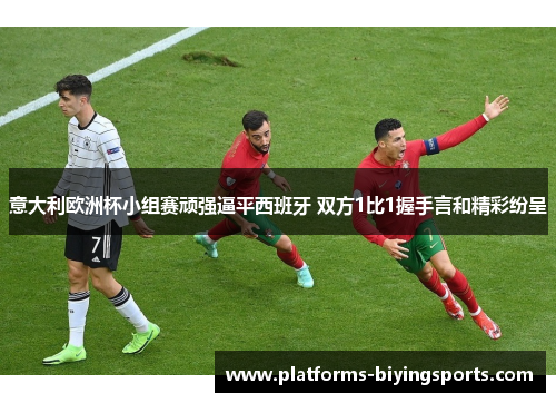 意大利欧洲杯小组赛顽强逼平西班牙 双方1比1握手言和精彩纷呈