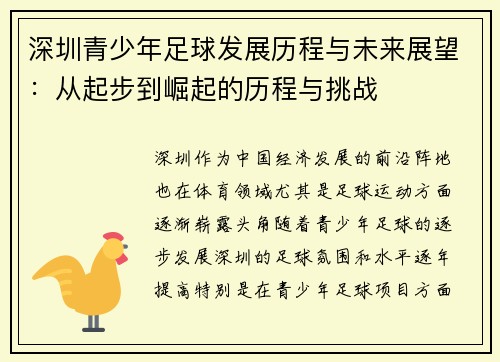 深圳青少年足球发展历程与未来展望：从起步到崛起的历程与挑战