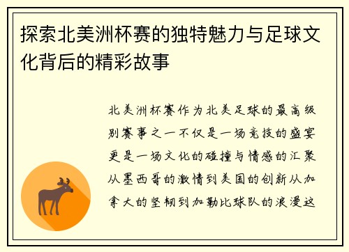 探索北美洲杯赛的独特魅力与足球文化背后的精彩故事